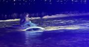 Rescatan a un conductor y su bebé del techo de un auto tras inundaciones en Arizona
