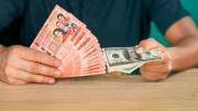 El bolsín y el sistema de bandas, uno de los dos tipos de cambio del dólar regirá en el siguiente Gobierno