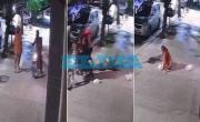 VIDEO. Rappi-chorro salvaje en La Plata: falso repartidor tiró al piso y arrastró a una mujer para robarle