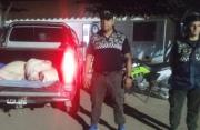 Decomisan 200 kilos de carne porcina que eran trasladados sin cadena de frío en Tucumán