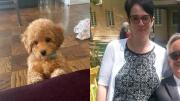 Horror en EEUU: Mujer apuñaló a su mamá 55 veces, y lanzó a una perrita desde un balcón