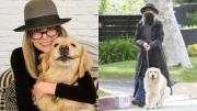 La impresionante fortuna que Diane Keaton le dejó a su perra: Era su mundo