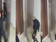 Con RCP salvó a un perro que había quedado colgado en un ascensor y hará una canción para que otros aprendan