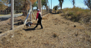 El meticuloso operativo en el Parque Sarmiento para reducir riesgos de incendio