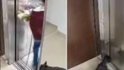 Dramático video: un perro quedó colgado en un ascensor y un vecino lo salvó con RCP