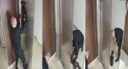 Héroe sin capa: Así un hombre salvó a un perrito de sufrir trágica muerte con la puerta de un ascensor