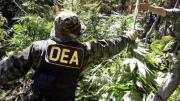 El PDC y la Alianza Libre quieren reactivar la cooperación con la DEA en Bolivia