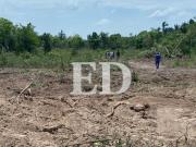 Avasalladores abandonaron el predio en Urubichá; dejaron tres hectáreas de árboles talados