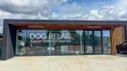 Lujos y spa para perros: este hotel de Roma está dirigido exclusivamente para las mascotas