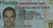 Actualización de licencias en Miami: descubre quienes deben mantener el registro de votantes activo