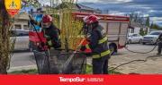 Colilla provocó principio de incendio