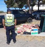 Secuestraron 1000 kilos de carne en Catriel por mal estado, traslado irregular y faena clandestina
