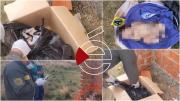 Felcc busca a los padres del bebé recién nacido que fue encontrado en una caja de cartón en Viacha