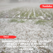 Señalan que en tres comunidades se perdió la totalidad de los cultivos por la granizada