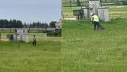 VIDEO Indignación: Golpearon a un carpincho hasta dejarlo al borde de la muerte en un country
