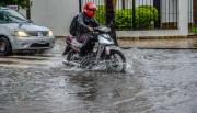 Intensa lluvia en Salta superó el promedio mensual, provocó cortes de luz y caída de árboles