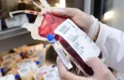 Banco de Sangre de Cobija cierra atención al público por falta de insumos y reactivos