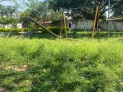 Sin alcalde, una ciudad abandonada