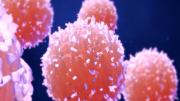 Las imágenes con IA podrían mejorar la detección del cáncer de páncreas, según estudios recientes