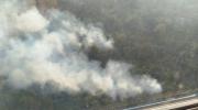 Falta combustible y apoyo para el combate: El fuego arrasa con la palma real en Bajo Paraguá