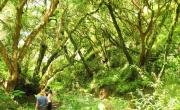 El refugio sin celular ni wifi en el corazón de las yungas jujeñas