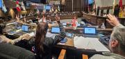 SENADO DECLARA EL 15 DE NOVIEMBRE COMO DÍA DEL HOMBRE BOLIVIANO