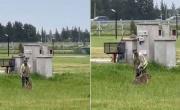 Escándalo en un country: golpearon con un fierro a un carpincho