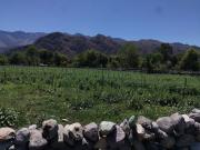 Los sembradíos protegidos por las serranías de San Andrés