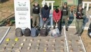 Detenidos monteando de noche 55 kilos de cocaína