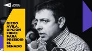 Diego Ávila, opción firme para presidir el Senado