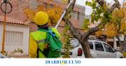 Mantenimiento del arbolado público en distintos sectores de la Ciudad: el cronograma