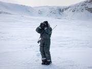 Renos curiosos y osos polares hambrientos: el calentamiento está trastocando una isla ártica