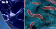 Científicos descubren que una proteína del cólera podría provocar la autodestrucción de células de cáncer