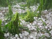 Tormenta sin precedentes deja a Tarija bajo decreto de emergencia