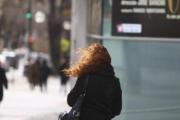 Clima en La Plata hoy, lunes 20 de octubre: jornada ventosa y cielo parcialmente nublado