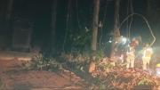 Confirman que hay fuego activo en el plan de manejo de asaí en El Porvenir