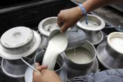 EBA paraliza acopio de leche, productores pierden Bs 32.000 diarios