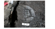 En imágenes: hallan panes de comunión con la imagen de Cristo de hace 1.300 años