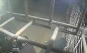 Ataque express a un comercio en La Plata: dos falsos repartidores huyeron con una caja fuerte