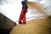 China no importó soya de Estados Unidos en Septiembre por primera vez en siete años