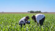 El campo: entre la confianza y la cautela en un clima político decisivo para Milei