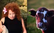 Un libro pone fin a las diferencias entre humanos y animales con hallazgos sorprendentes: Se trata de mostrar realidades