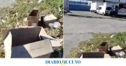 Hallan cuatro cajas repletas de cabezas de animales muertos y hay misterio: “Hay como diez cabezas de cabra y gallinas muertas”
