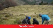 Un proyecto de invernadero de plantas nativas del PN Los Glaciares es finalista internacional