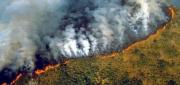 INCENDIO EN LA FRONTERA ENTRE BOLIVIA Y PARAGUAY DESTRUYE MÁS DE 16 MIL HECTÁREAS DE VEGETACIÓN