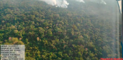 Santa Cruz en emergencia con nueve incendios forestales