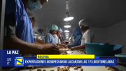 Bolivia exporta 173 mil toneladas de productos agropecuarios
