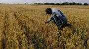 Productores alertan riesgo a la seguridad alimentaria por falta de diésel: “Solo recibimos el 40% del combustible”