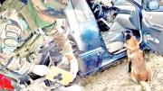 Isak, can antidrogas, descubre droga en tablero de un auto; hay 2 detenidos