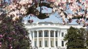 Trump anunció que transforma parte de la Casa Blanca para levantar su nuevo y hermoso salón de baile